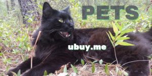 pets